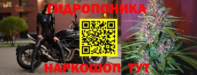 трава Краснознаменск