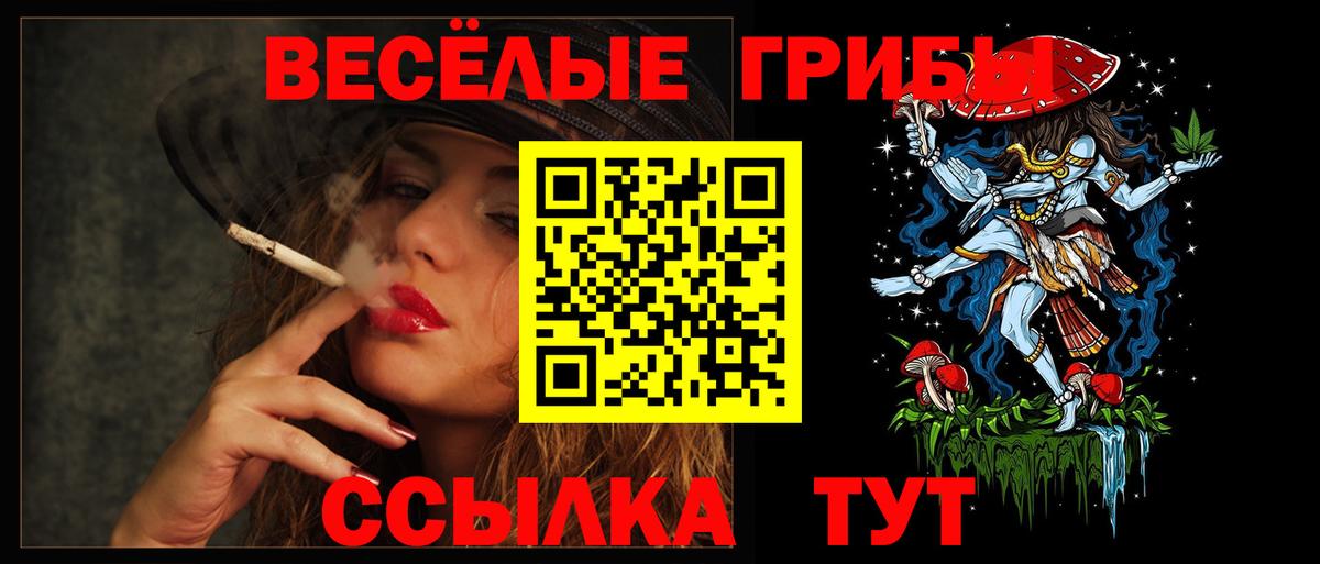 Псилоцибиновые грибы мицелий  Галлюциногенные грибы Cubensis  Вход с VPN  Южноуральск 